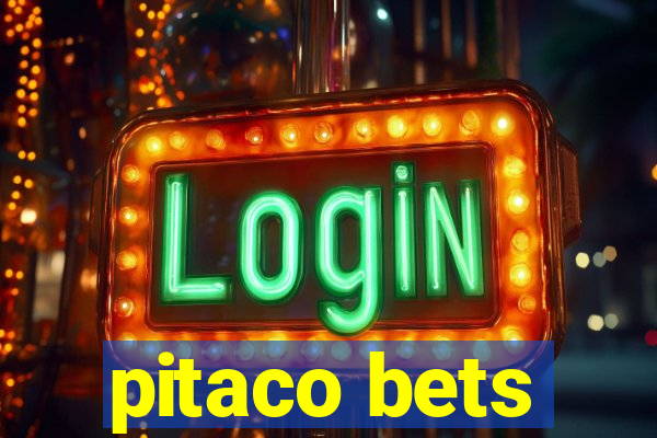 pitaco bets